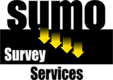 sumo services